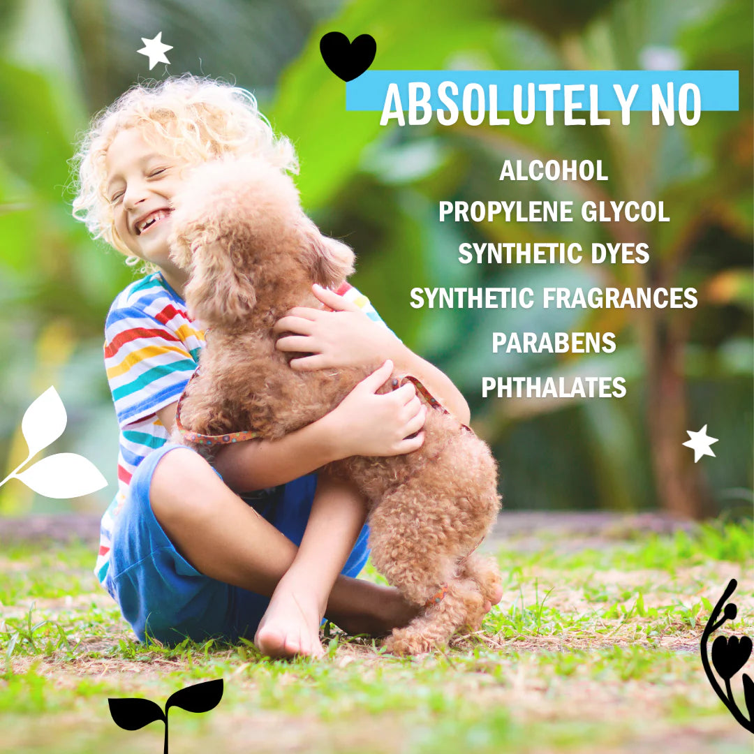 Pet Odor Eliminator - Image 2