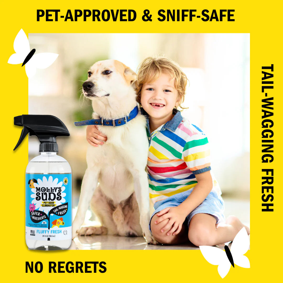 Pet Odor Eliminator - Image 4
